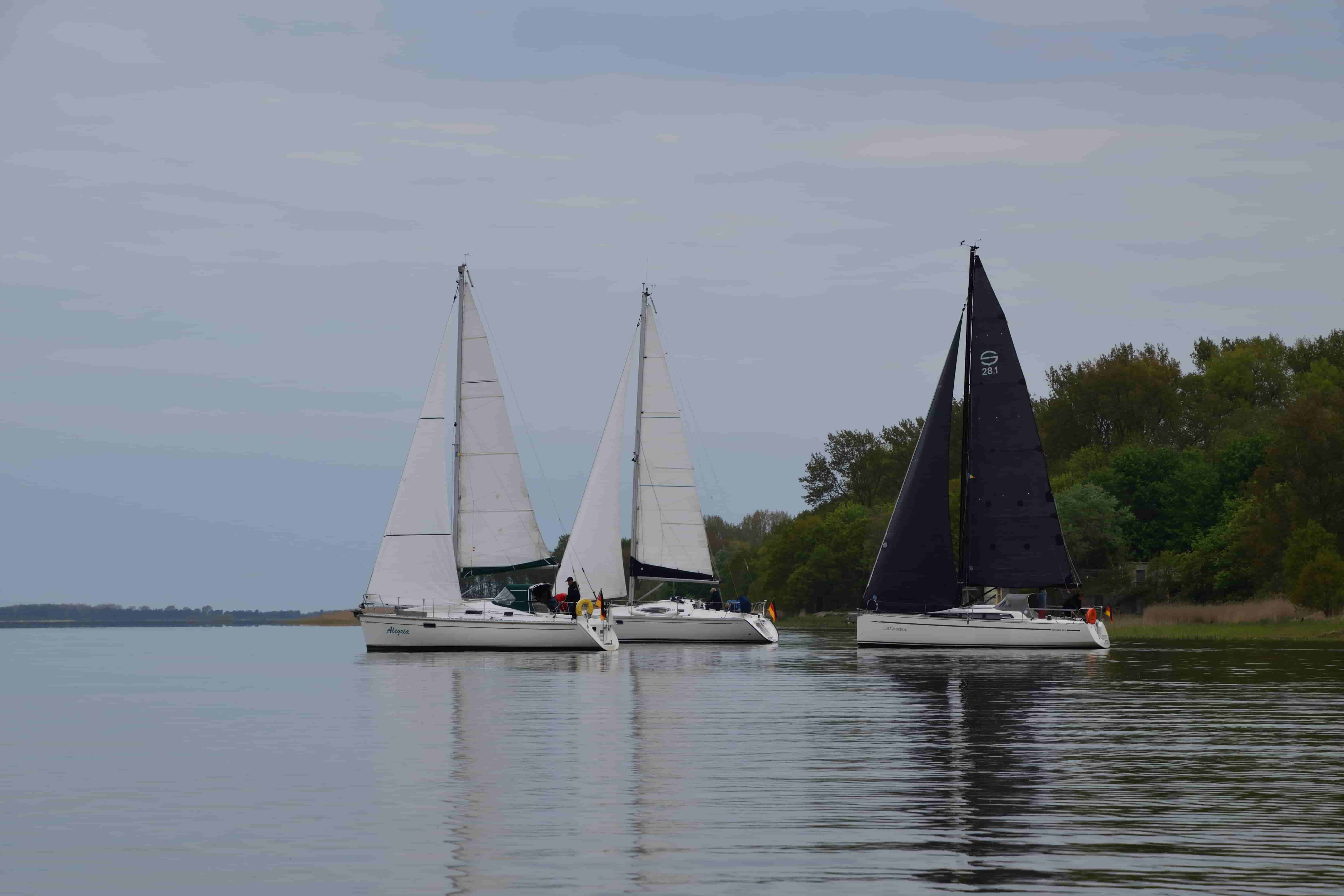 2026_SCR_Ansegeln_085_1.jpg
