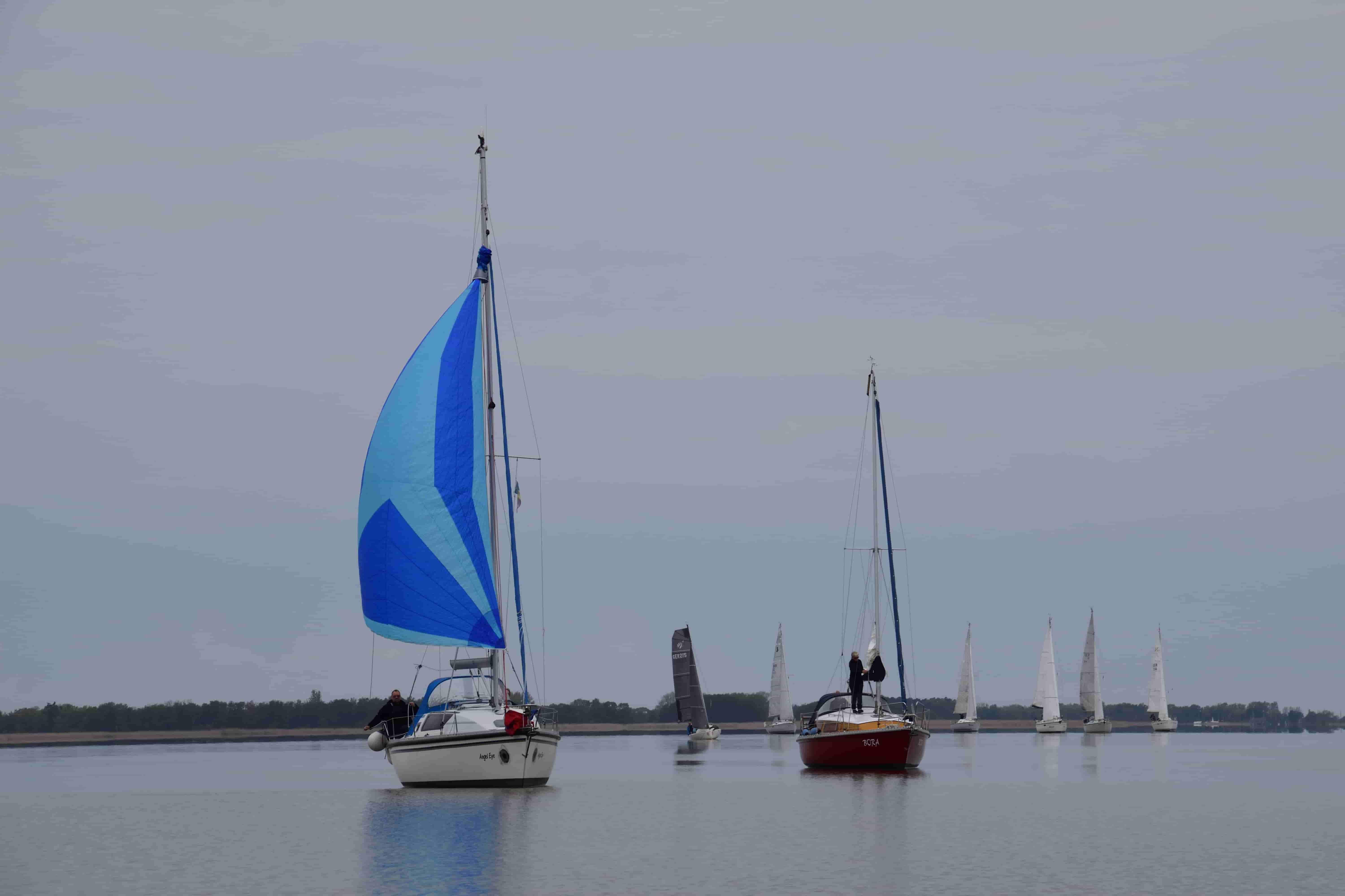 2026_SCR_Ansegeln_133_1.jpg