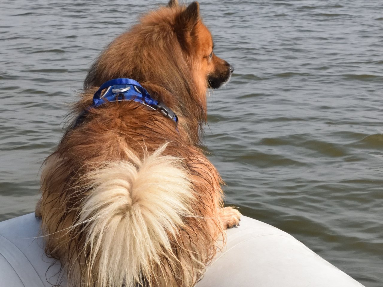 Piraten JEM und IDJoM 2024 Tag 5