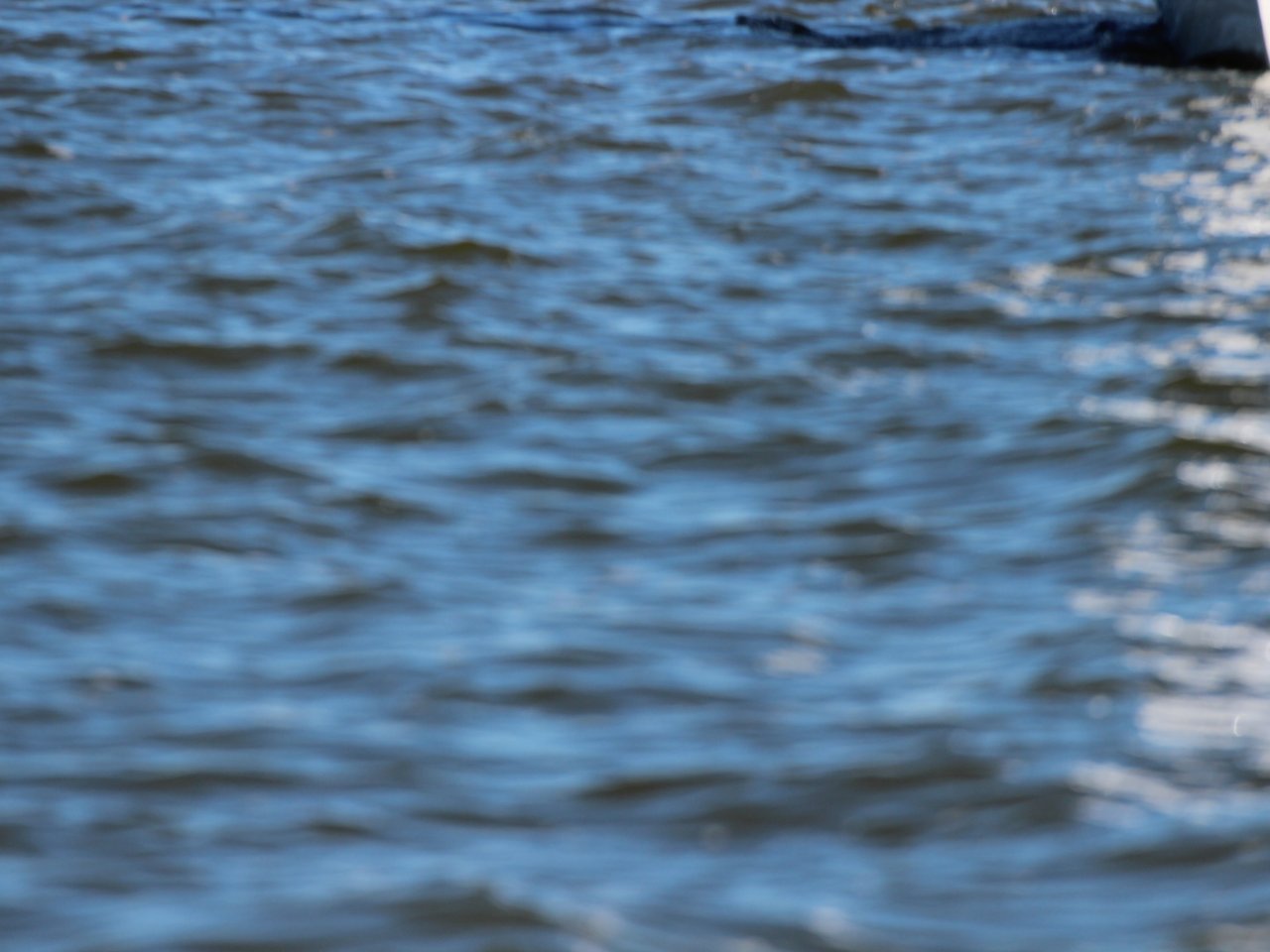 Piraten JEM und IDJoM 2024 Tag 2